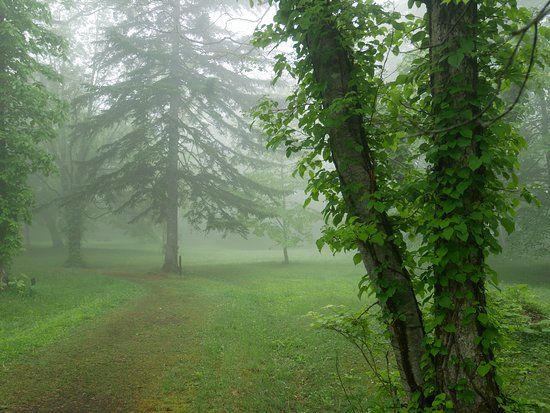 Shikotsuko Yacho no Mori
